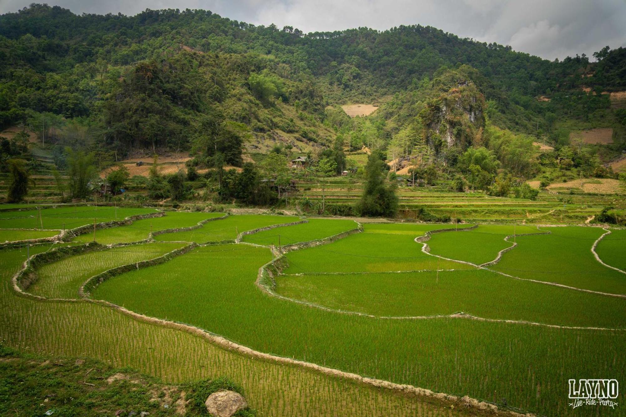 Quiri Hostel Ha Giang Lang Lap エクステリア 写真