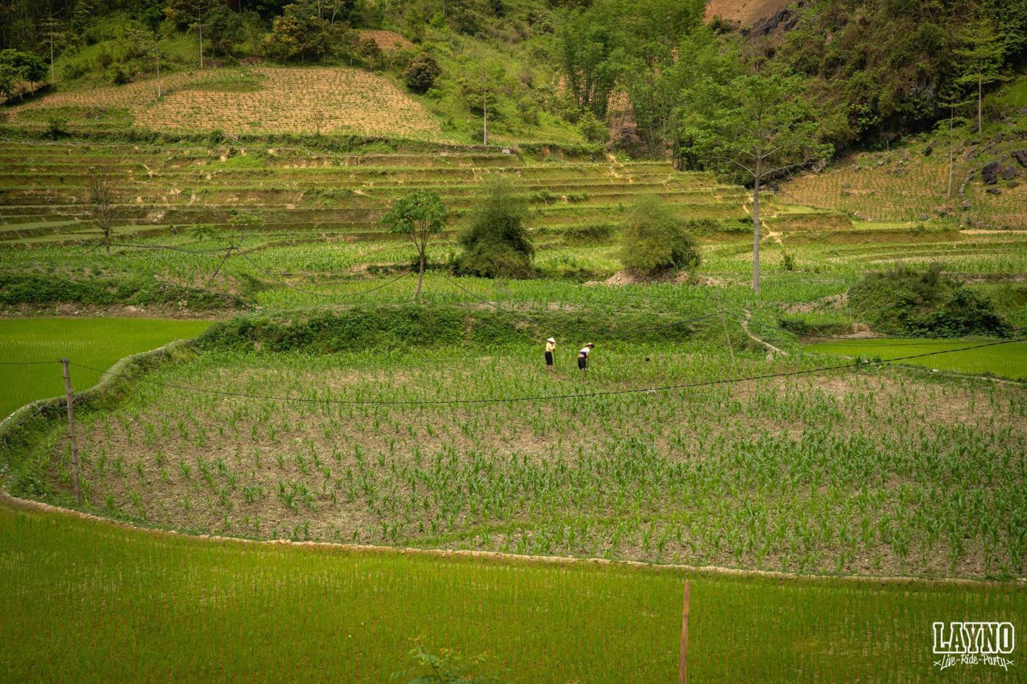 Quiri Hostel Ha Giang Lang Lap エクステリア 写真